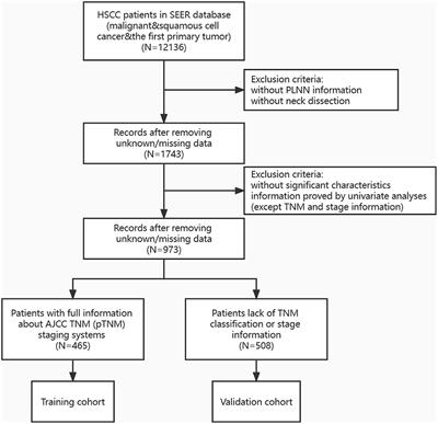 The Prognostic Prediction Value of Positive Lymph Nodes Numbers for the Hypopharyngeal Squamous Cell Carcinoma